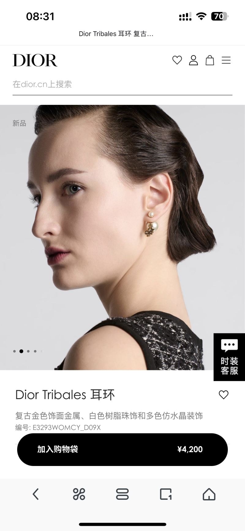 Christian Dior Earrings